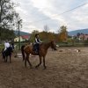 bABIE lATO 2018